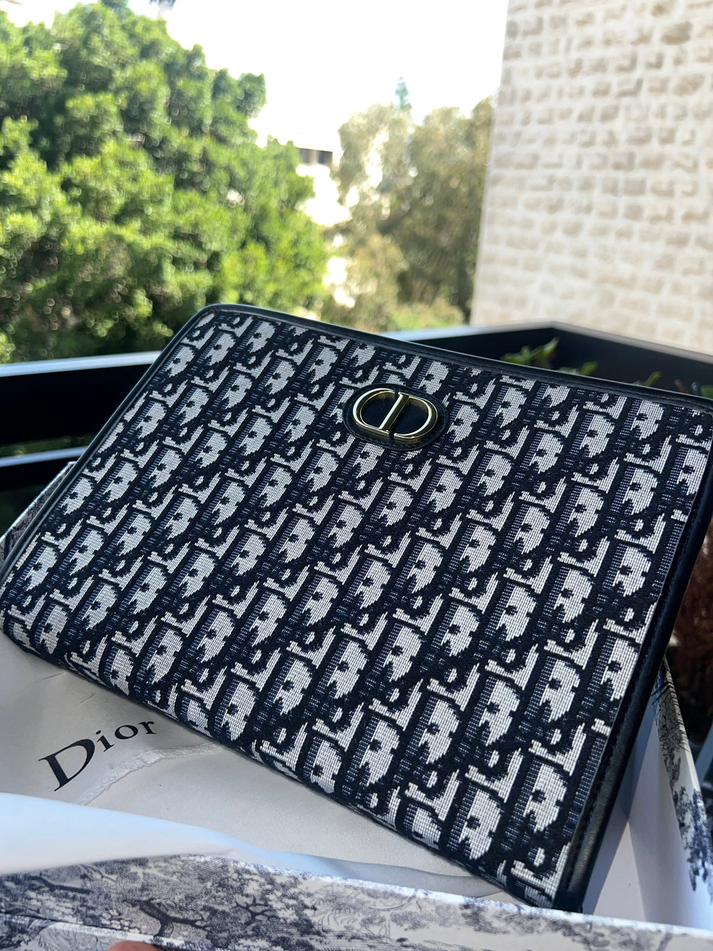 Dior Clutch Copy A