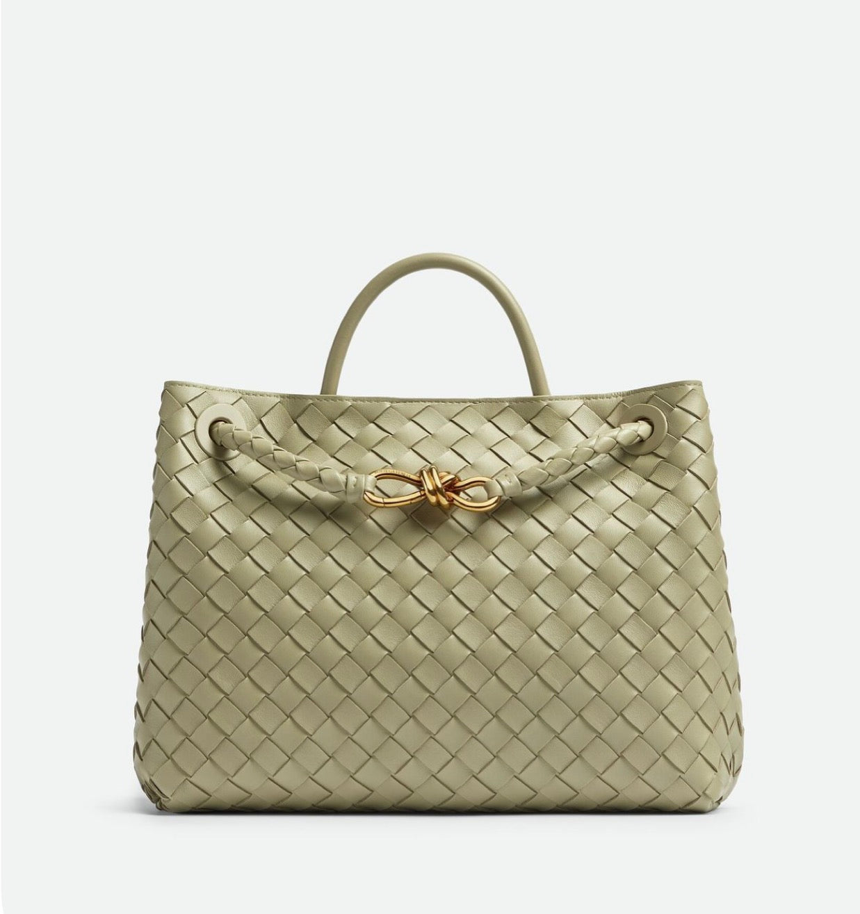 Bottega Veneta Bag