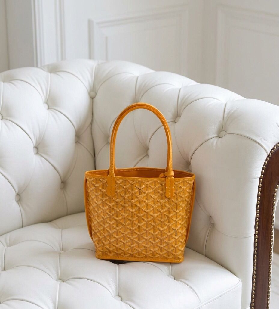 Mini Goyard Bag