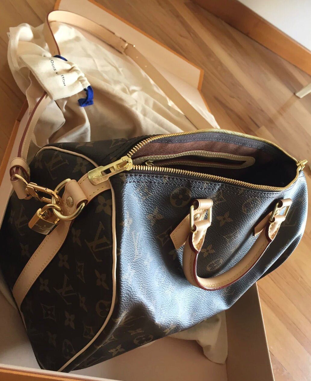 LV Speedy Bag