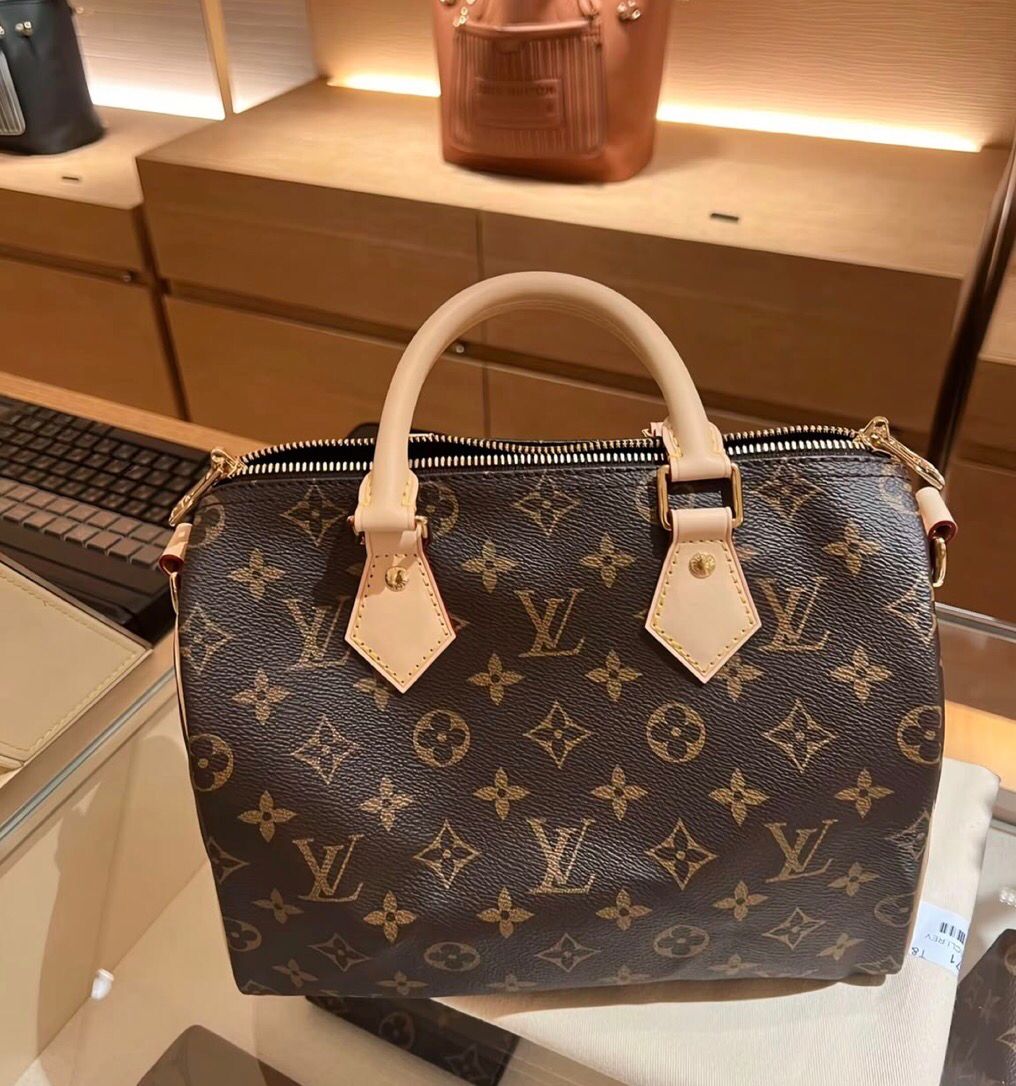LV Speedy Bag