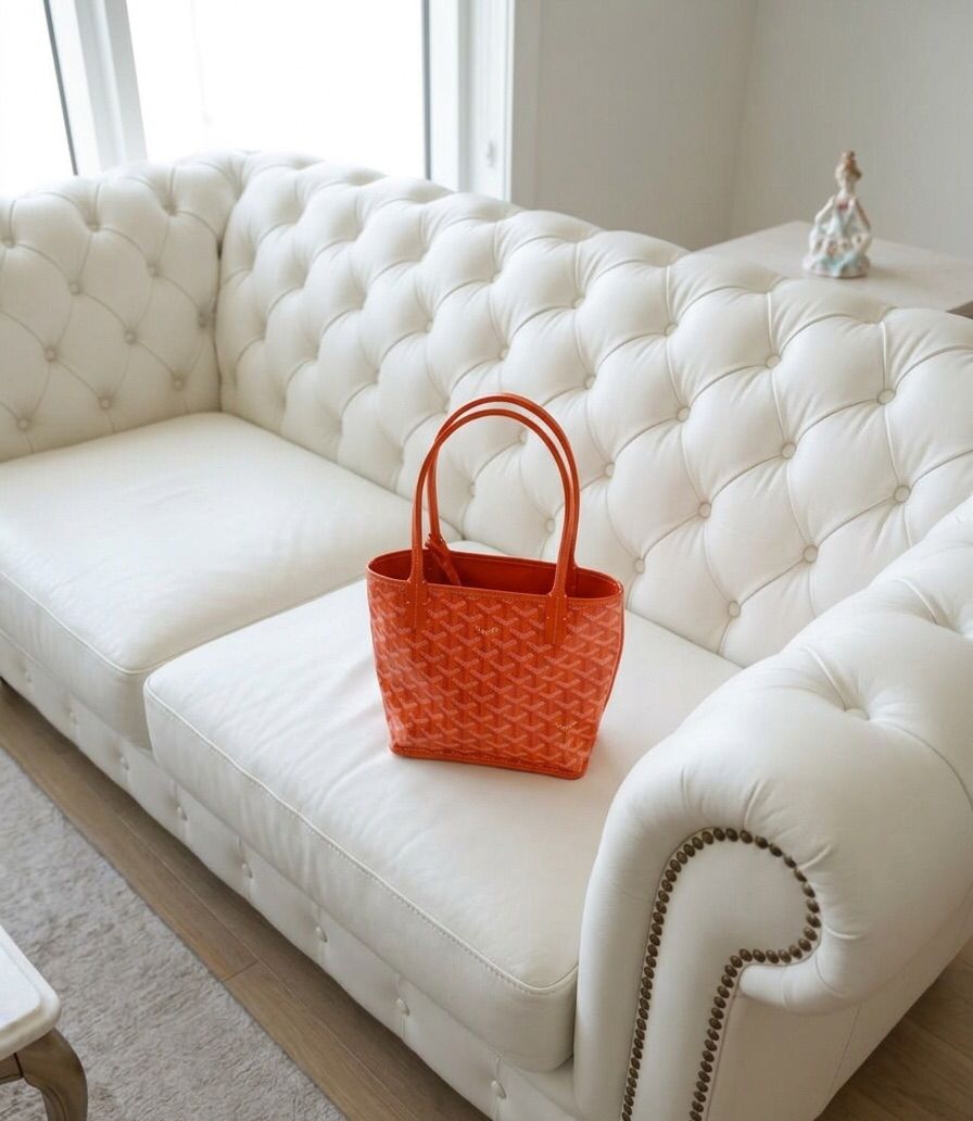Mini Goyard Bag