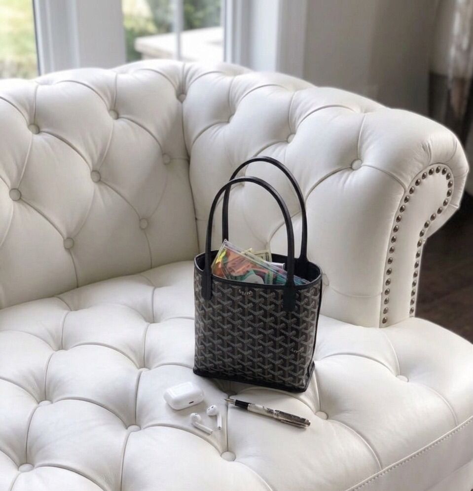 Mini Goyard Bag